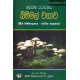 නවතම රටාවකට බිම්මල් වගාව - Nawathama Ratawakata Bimmal Wagawa