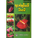 ඇන්තූරියම් වගාව - Anthurium Wagawa