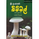 බිම්මල් - Bimmal